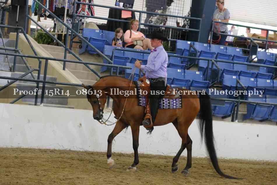 Proof 15R14_08613