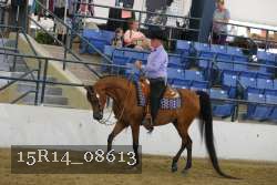 15R14_08613 proof