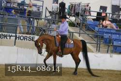 15R14_08614 proof