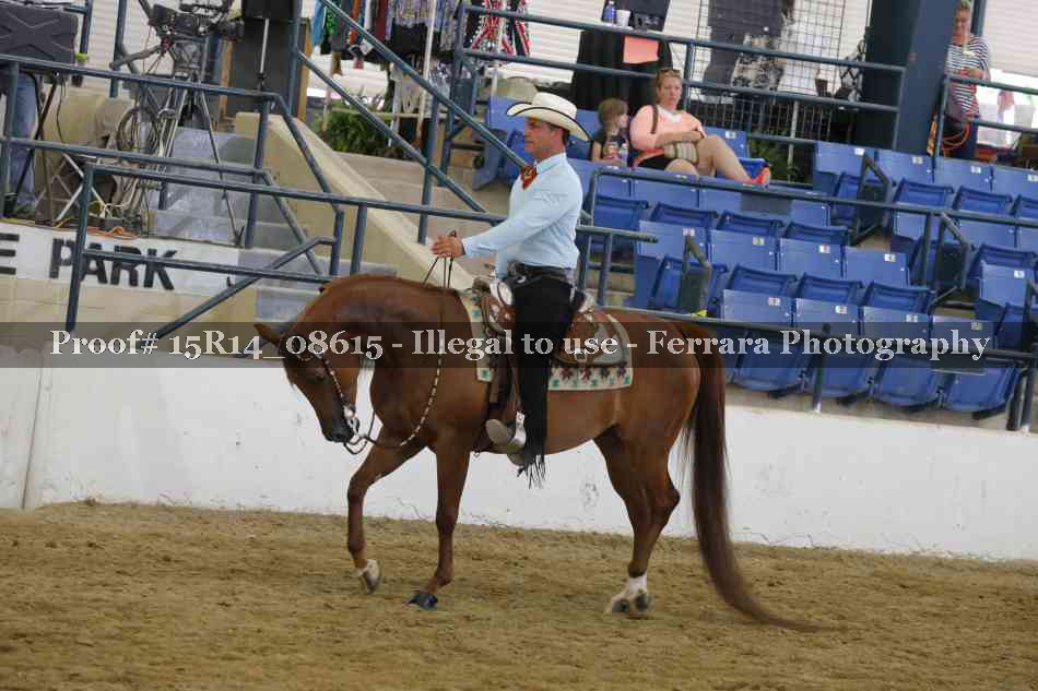 Proof 15R14_08615