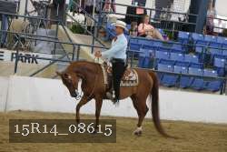 15R14_08615 proof