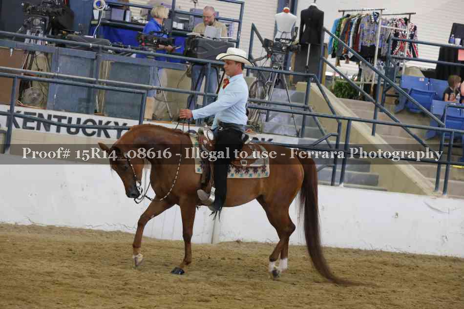 Proof 15R14_08616