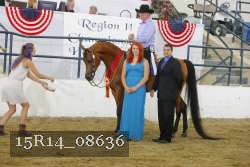 15R14_08636 proof