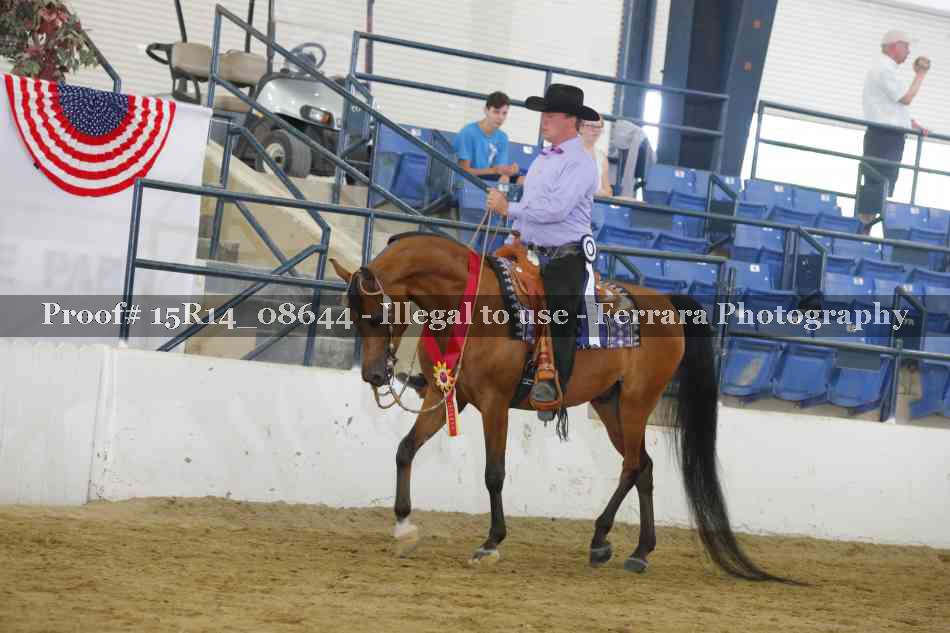 Proof 15R14_08644