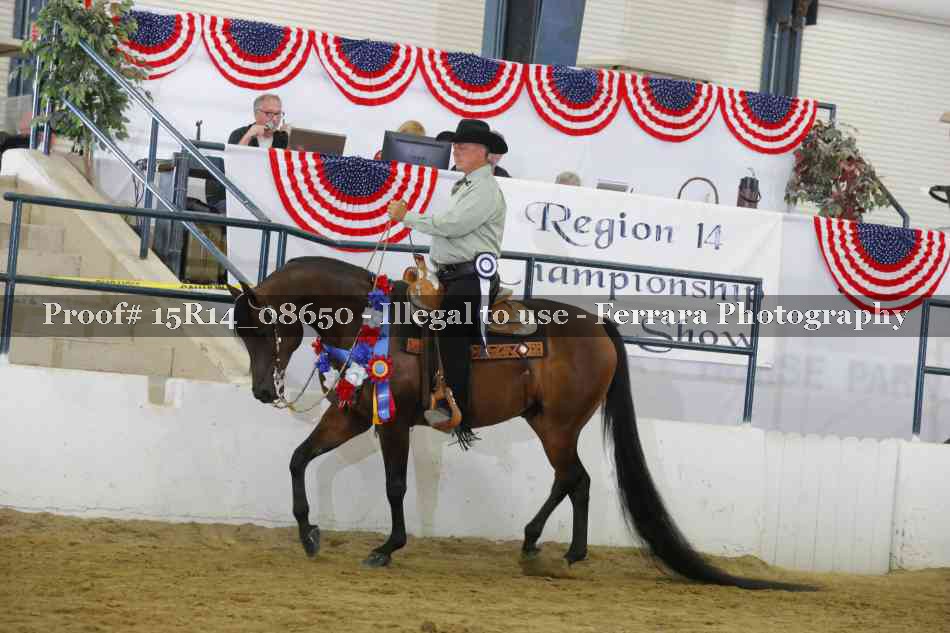 Proof 15R14_08650