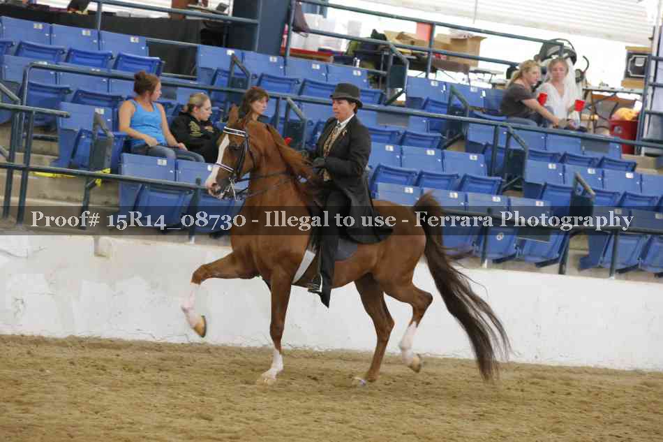 Proof 15R14_08730