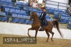 15R14_08737 proof