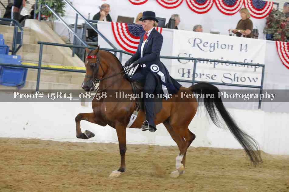 Proof 15R14_08758