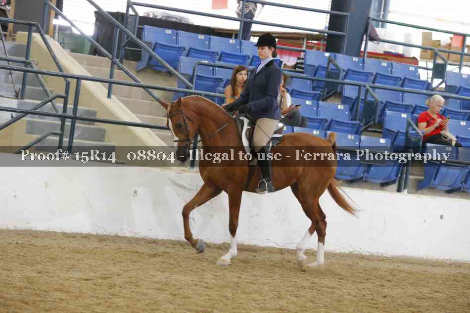 Proof 15R14_08804