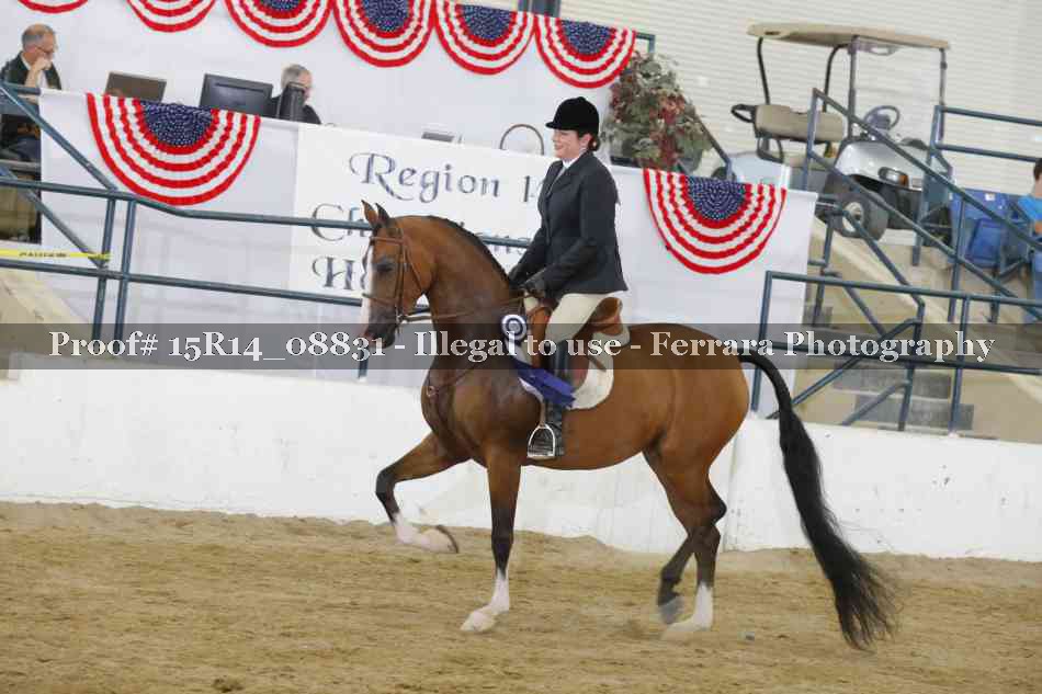 Proof 15R14_08831