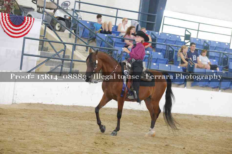 Proof 15R14_08883