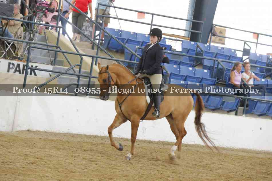Proof 15R14_08955