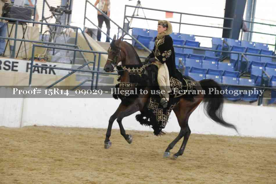 Proof 15R14_09029