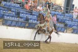 15R14_09042 proof