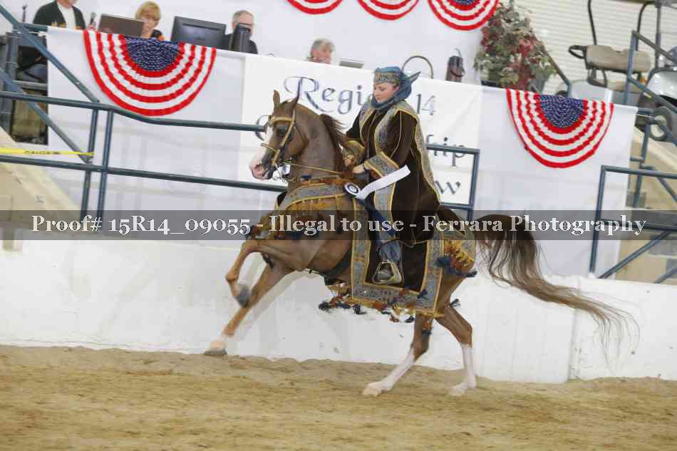 Proof 15R14_09055