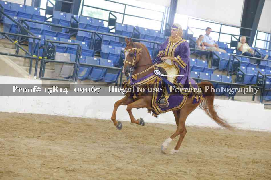 Proof 15R14_09067