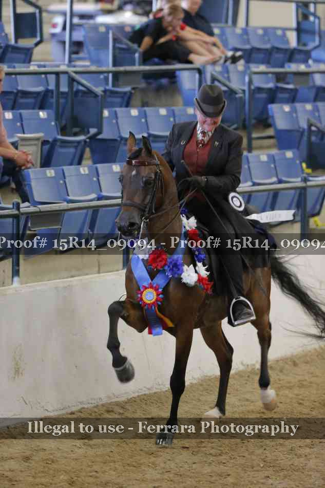 Proof 15R14_09094