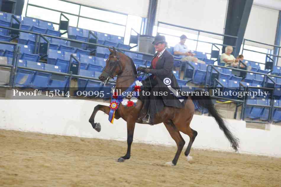 Proof 15R14_09095