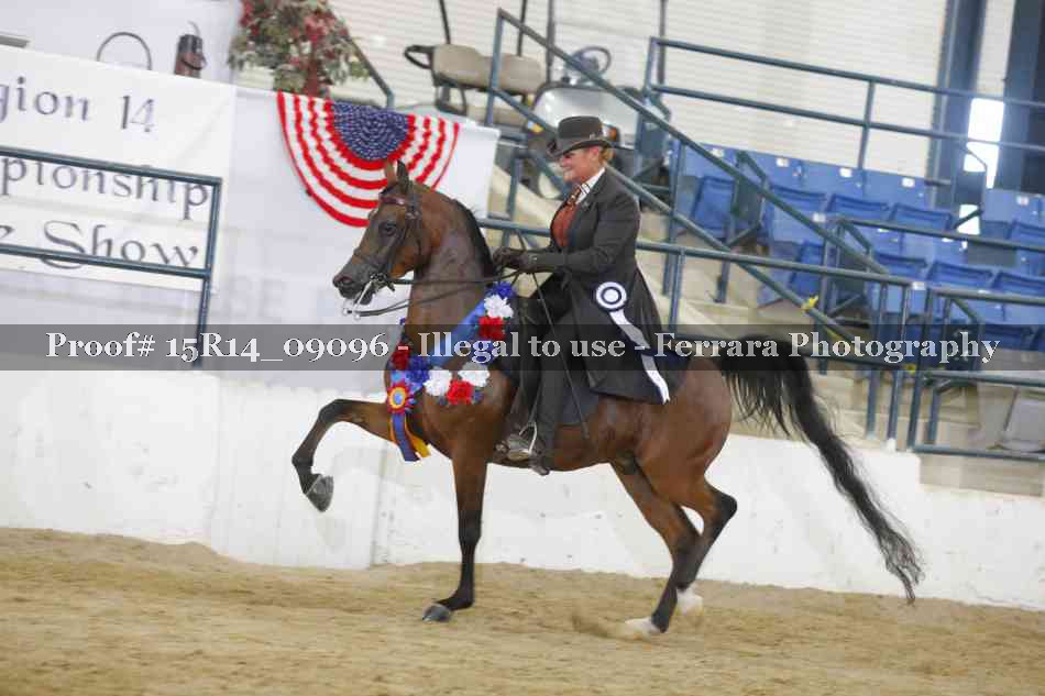 Proof 15R14_09096