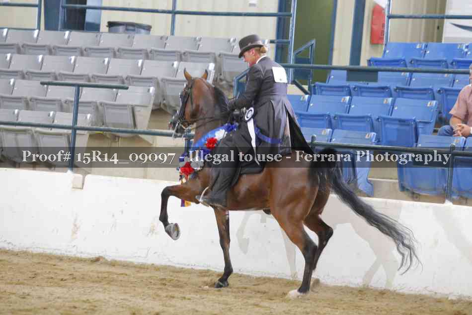 Proof 15R14_09097
