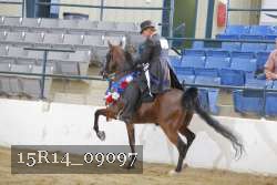 15R14_09097 proof