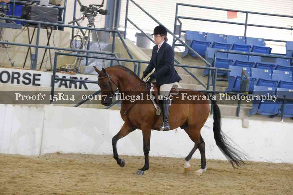Proof 15R14_09117