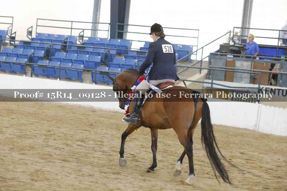 Proof 15R14_09128
