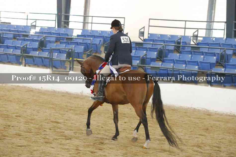 Proof 15R14_09129