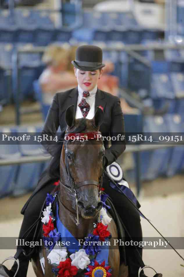 Proof 15R14_09151