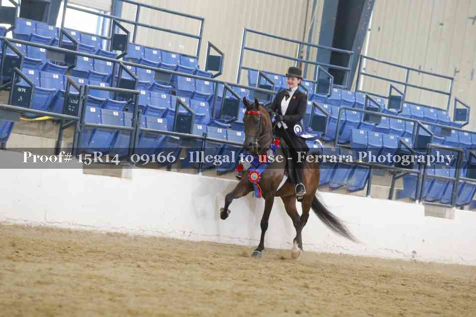 Proof 15R14_09166