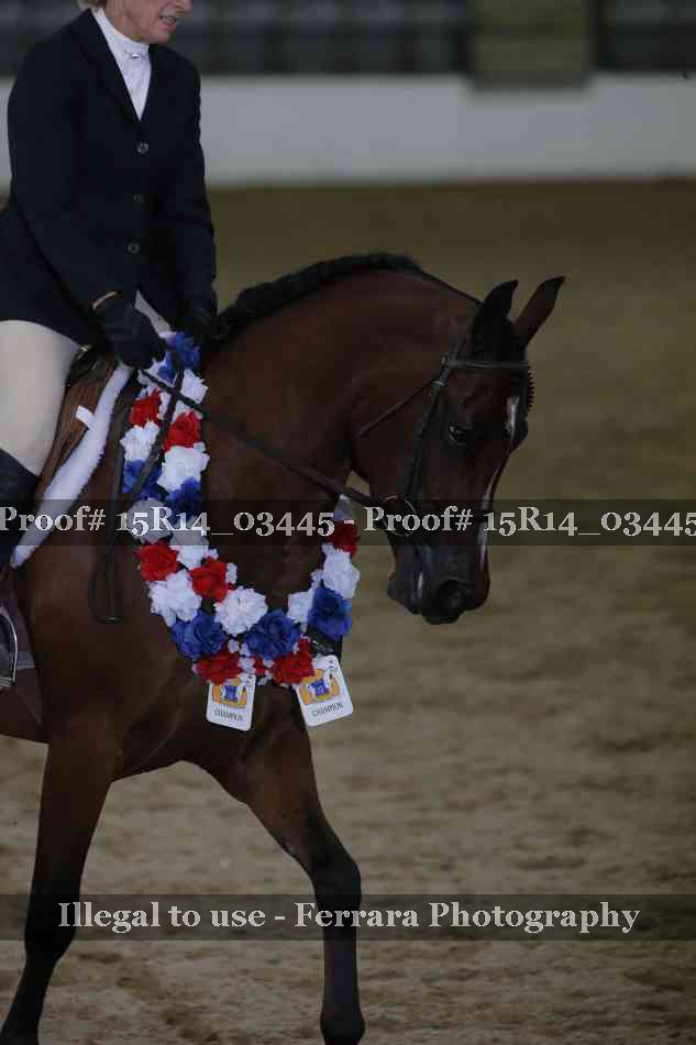 Proof 15R14_03445