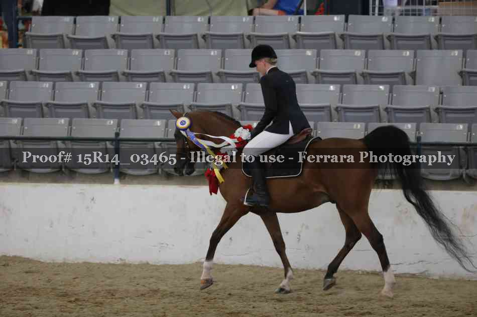 Proof 15R14_03465