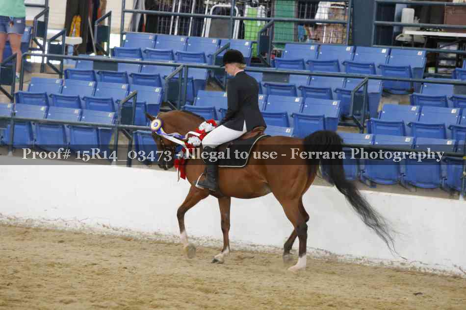 Proof 15R14_03473