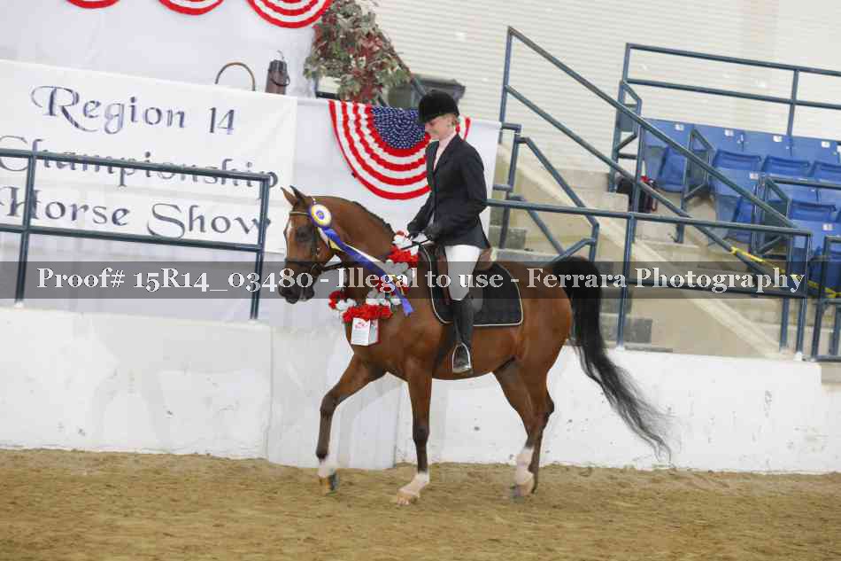 Proof 15R14_03480
