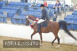 15R14_03482 proof