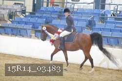 15R14_03483 proof