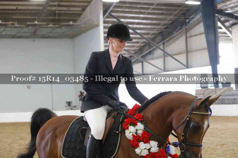 Proof 15R14_03485