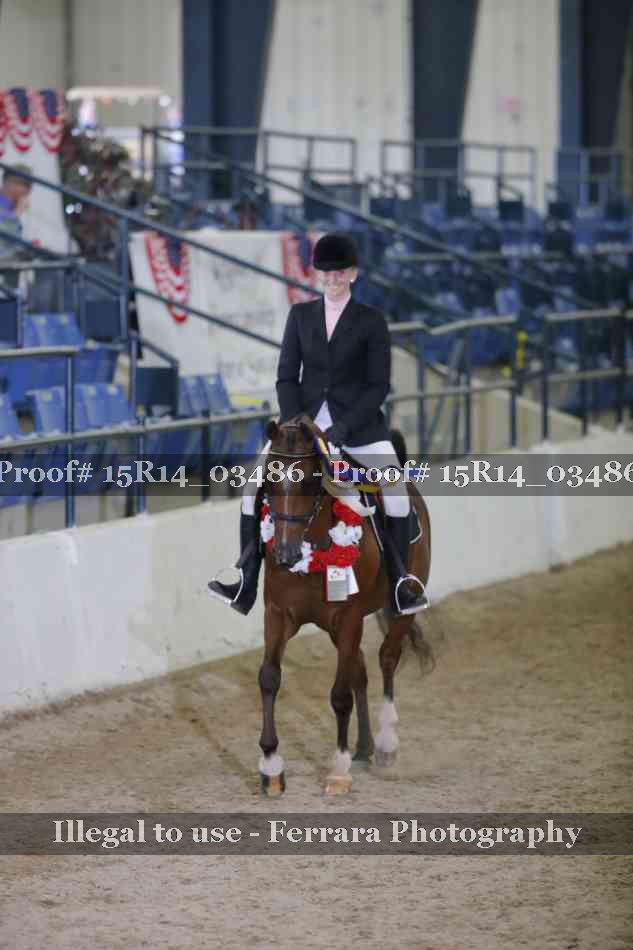 Proof 15R14_03486
