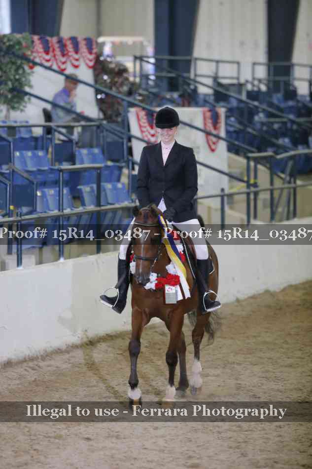 Proof 15R14_03487