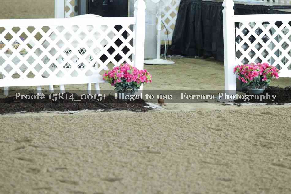 Proof 15R14_00151