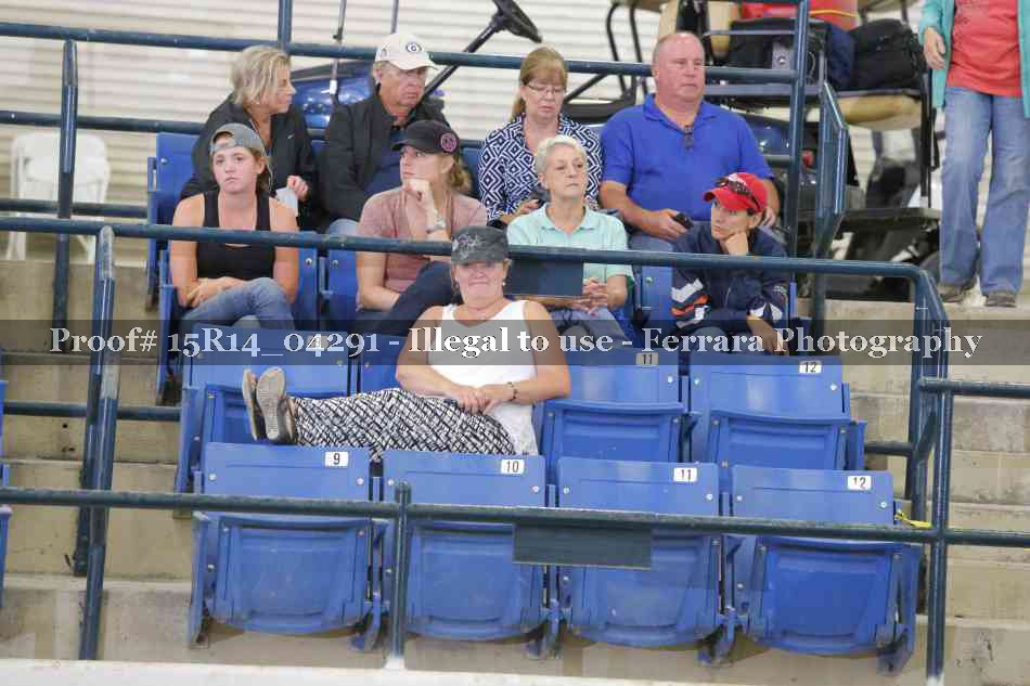 Proof 15R14_04291