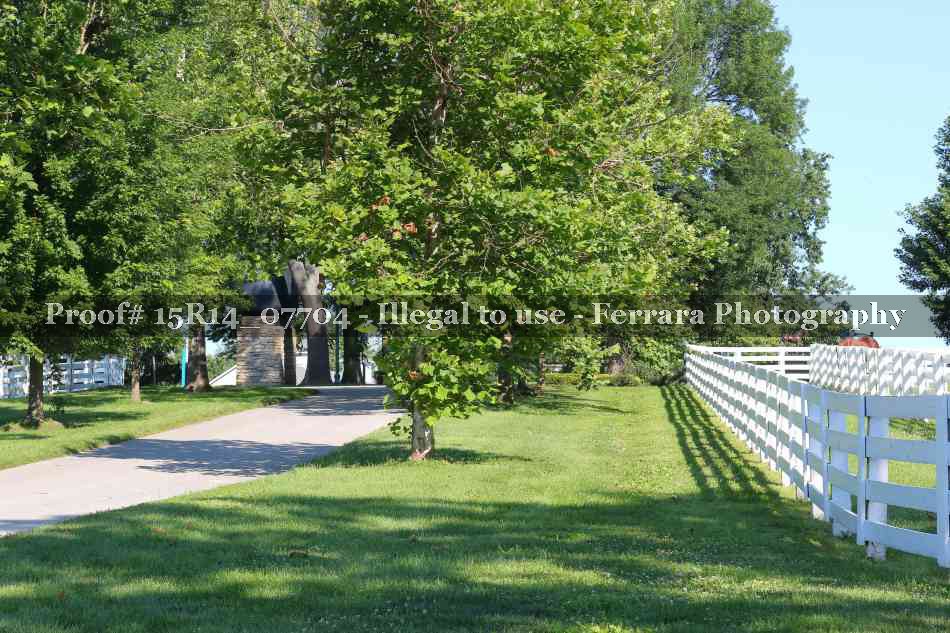 Proof 15R14_07704