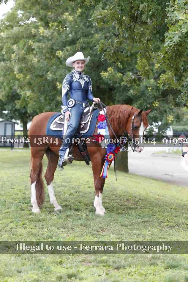 Proof 15R14_01972