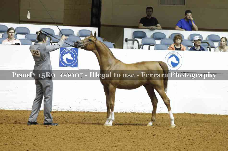 Proof 15R9_00007