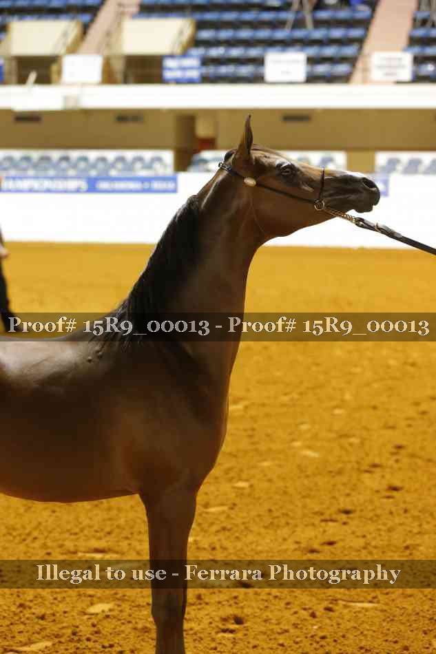 Proof 15R9_00013