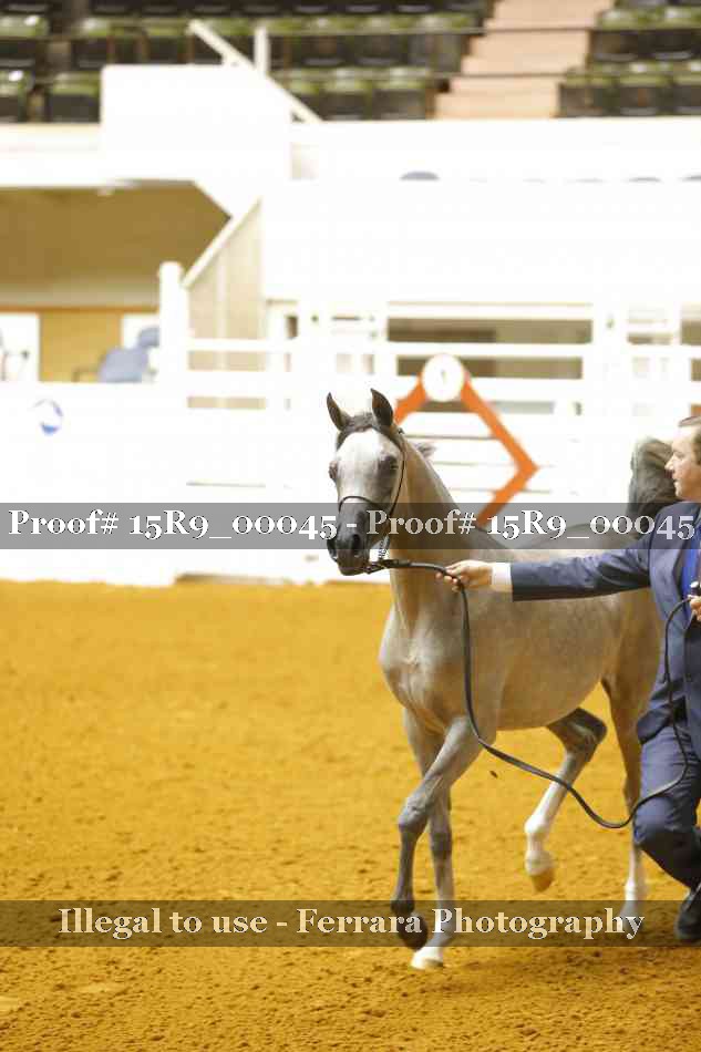 Proof 15R9_00045