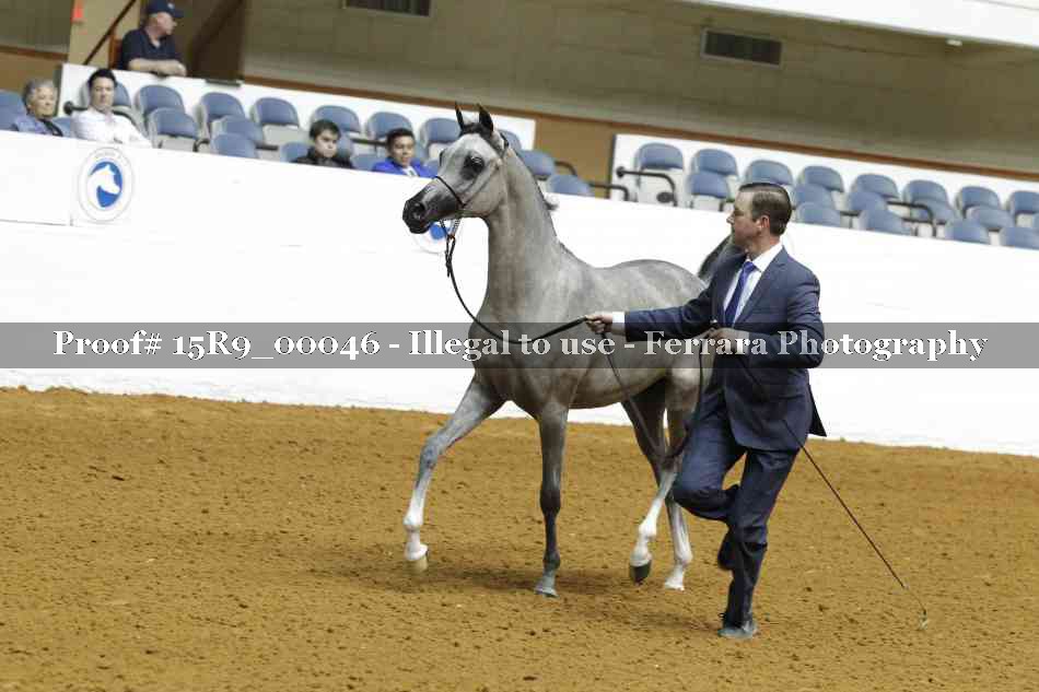 Proof 15R9_00046