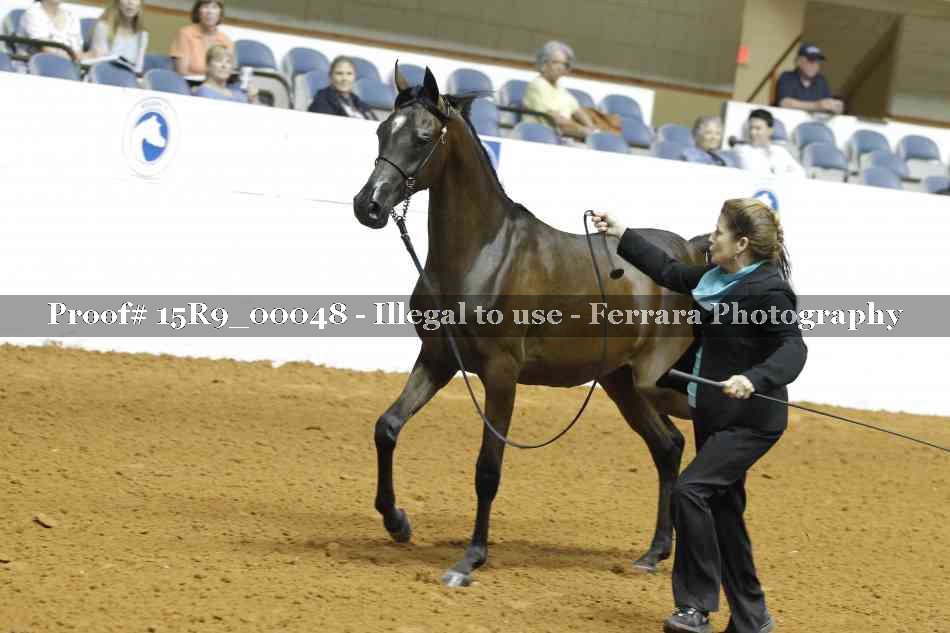 Proof 15R9_00048