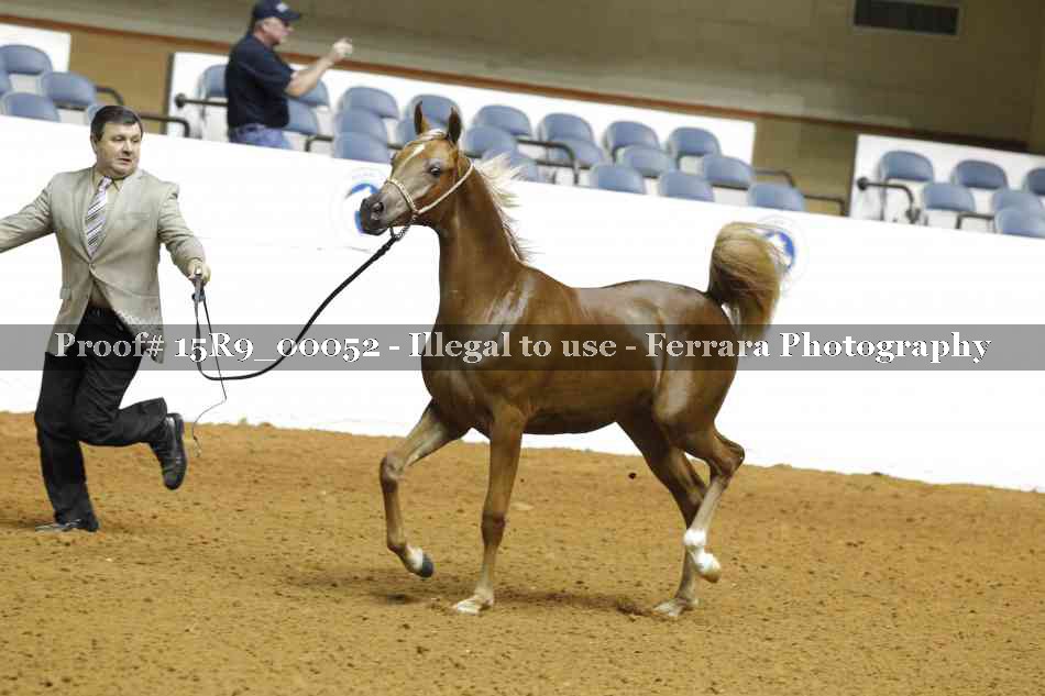 Proof 15R9_00052