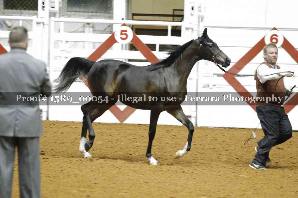 Proof 15R9_00054
